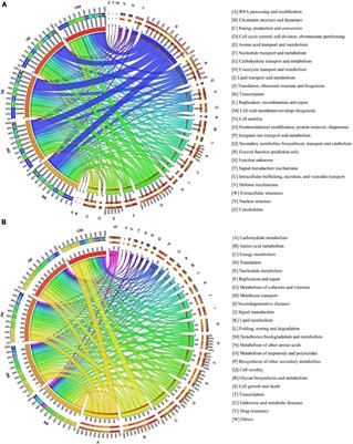 Genome-Resolved Metaproteomic Analysis of Microbiota and Metabolic Pathways Involved in Taste Formation During Chinese Traditional Fish Sauce (Yu-lu) Fermentation